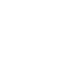 株式会社Molly